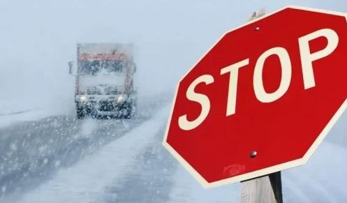 جامبىل وبلىسىندا كولىك قوزعالىسىنا شەكتەۋ قويىلدى