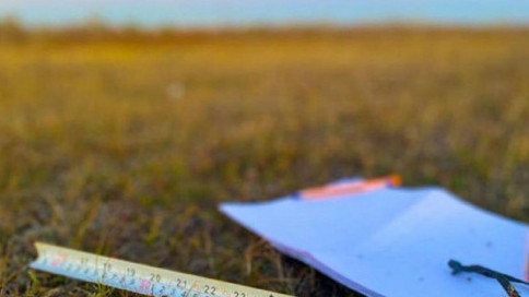 الماتى وڭىرىندەگى بىرنەشە نىسان مەملەكەتتىك مەنشىككە قايتارىلدى