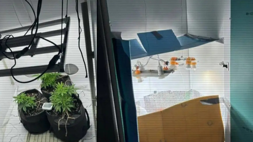 تاۋلىك ىشىندە ءۇش ەسىرتكى زەرتحاناسى جويىلدى