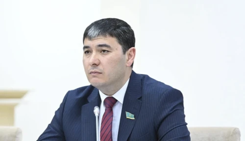 سالىق مولشەرى حالىقتىڭ جاعدايىنا قاراي سارالانادى - اليشەر ساتۆالديەۆ