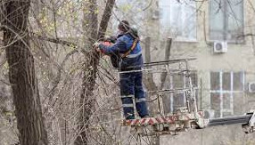 جامبىل وبلىسىنداعى مەكتەپتە جۇمىسشى مەرت بولدى