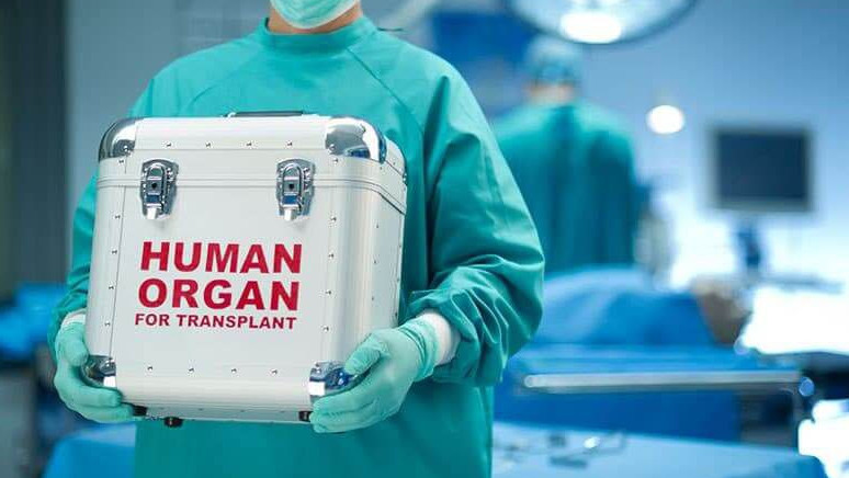 ينسۋلت العان ادامنىڭ اعزاسى ءتورت سىرقاتقا سالىندى