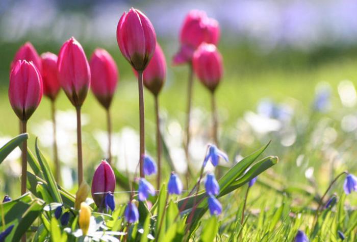 قازاقستان حالقى ناۋرىزدا قانشا كۇن دەمالادى