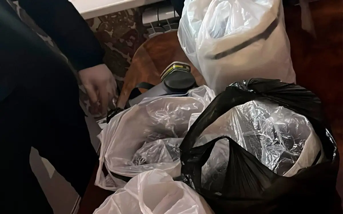 الماتى وبلىسىندا ەسىرتكى زەرتحاناسى جويىلدى