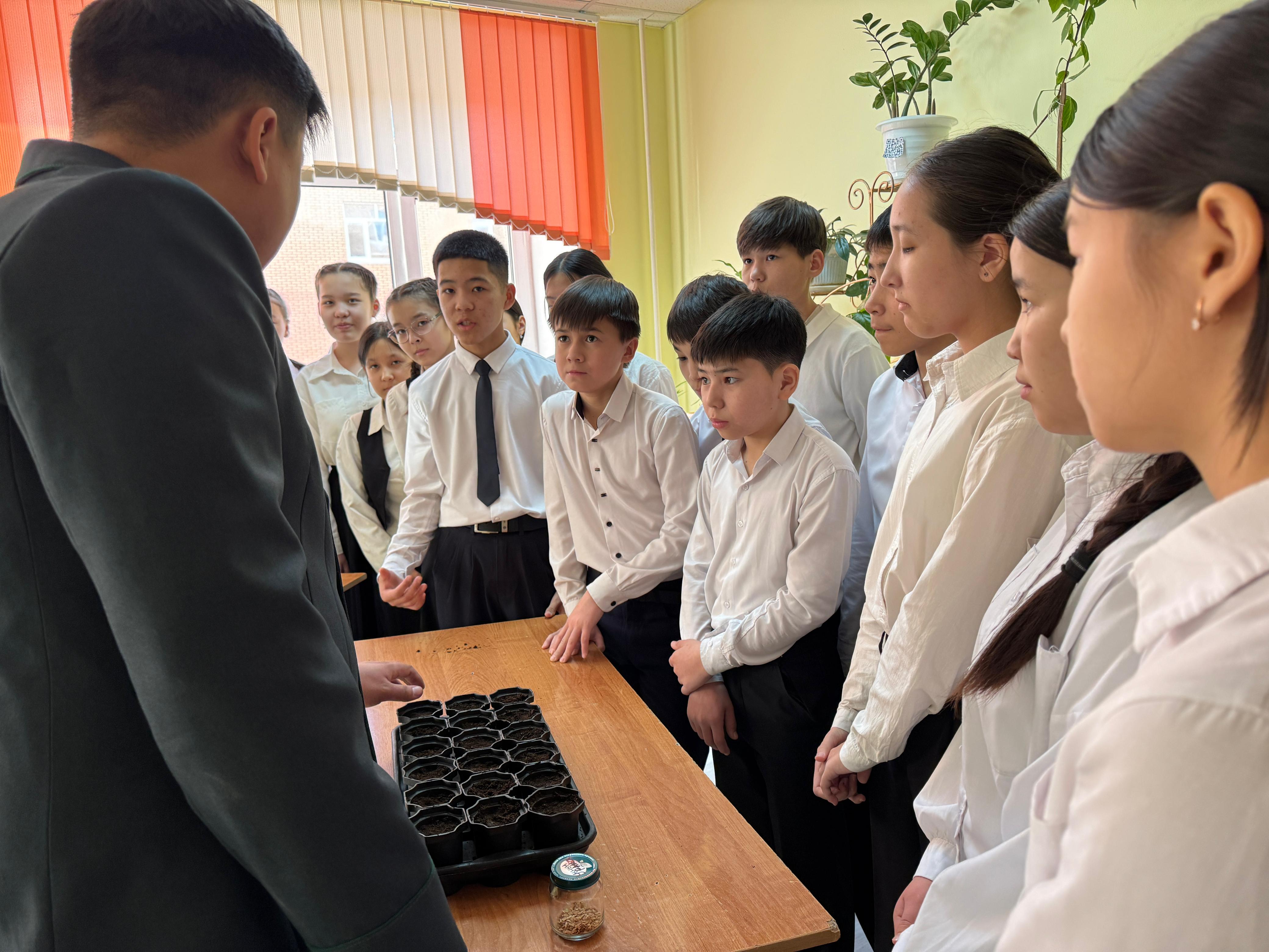 ورمان وسىرەتىن ورەندەر