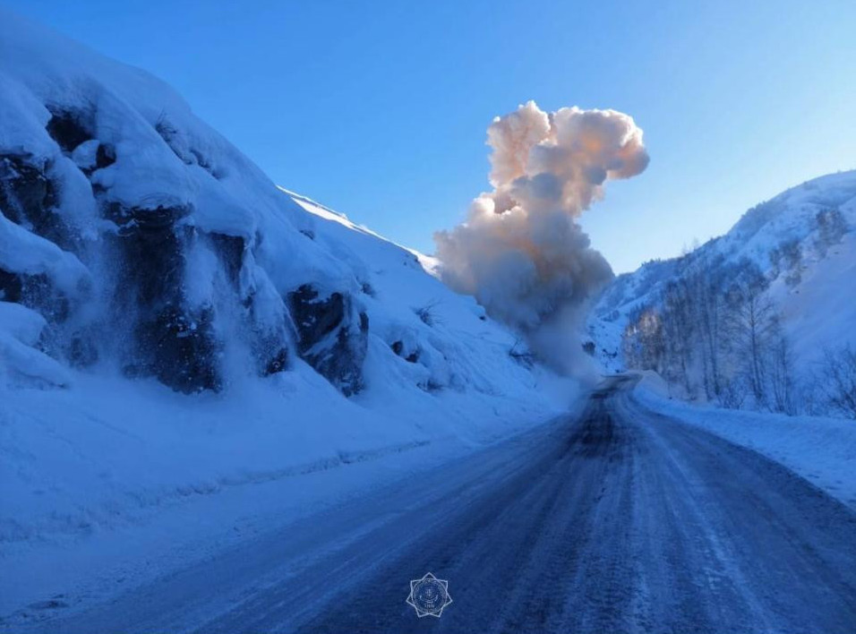 قار كوشكىنى قاۋپى بار 619 ۋچاسكە انىقتالدى