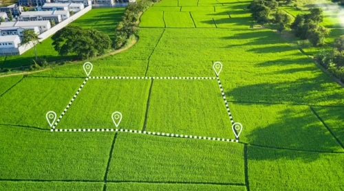 12 ميلليون گەكتار جەر مەملەكەتكە قايتارىلدى