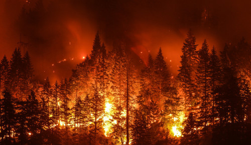 چيليدە ورمان وتقا وراندى