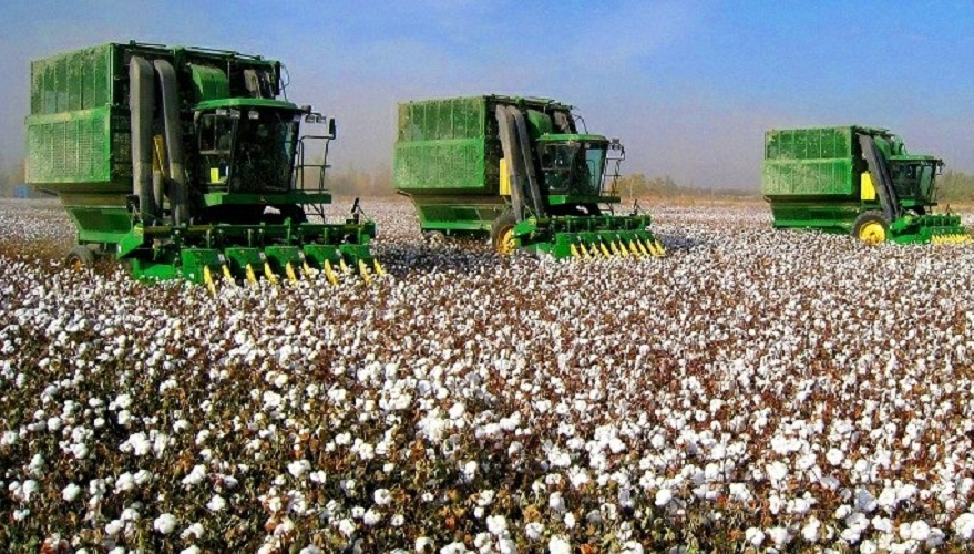 سەناتور ماقتا وسىرۋشىلەر تاپ بولعان ماسەلەگە نارازىلىعىن ءبىلدىردى