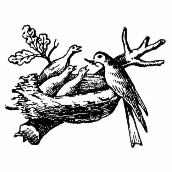 عالام عاجاپتارى: مىنە, ماركەتينگ!