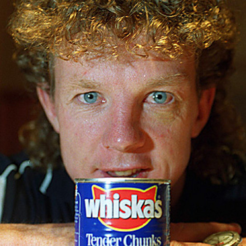 عالام عاجاپتارى: ءساتتى ستراتەگيا