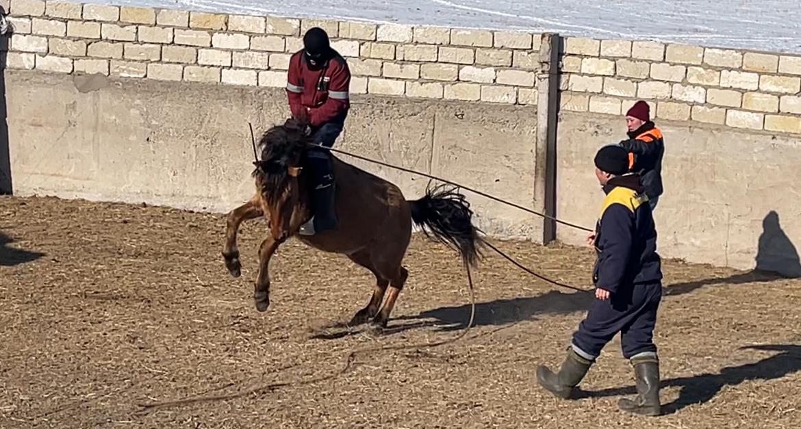 اساۋ قۇرىقتاعان جىگىتتەر