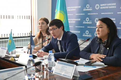 كاسىپكەرلەر ۆيتسە-مينيسترمەن سالىق ماسەلەسىن تالقىلادى