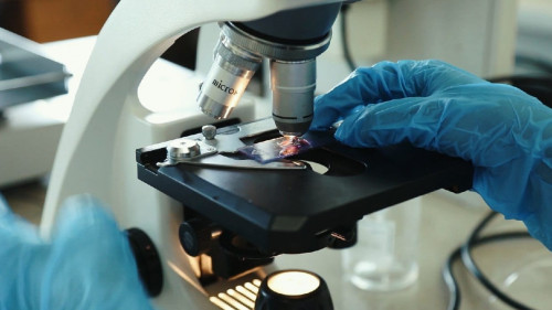 قازۇۋ عالىمدارى وتاندىق فارماتسەۆتيكاعا ۇلەس قوسادى