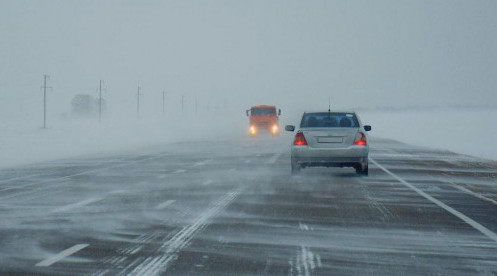 اقتوبە وبلىسىندا كولىك قوزعالىسىنا شەكتەۋ قويىلدى