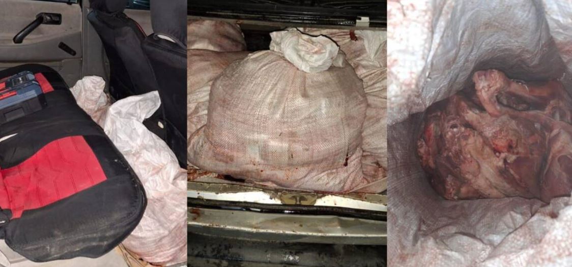 كولىكتەن 14 قاپ كيىك ەتى تابىلعان