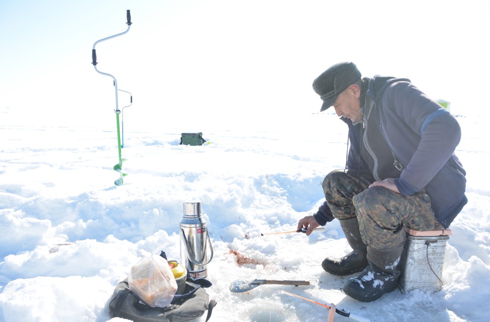 بالىقشىلار جارىسى