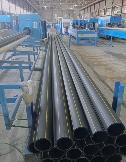 سۇرانىس ۇدەسىنەن شىققان كاسىپورىن