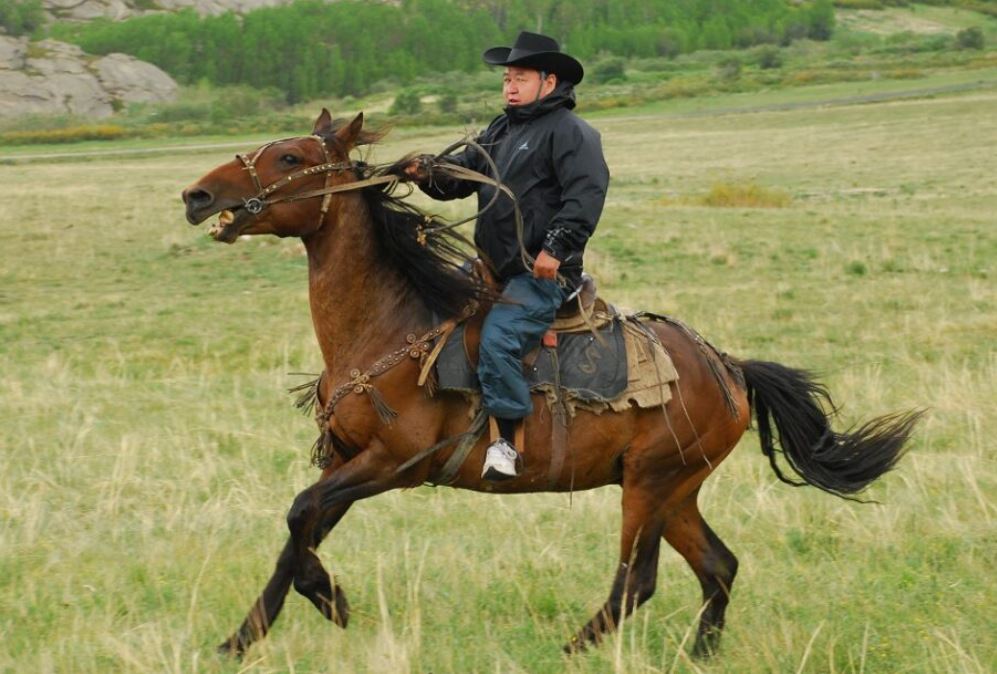 قازاناتتىڭ قامقورشىسى