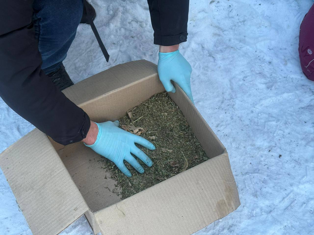 46 جاستاعى ەر ادامنان ەسىرتكى تاركىلەندى