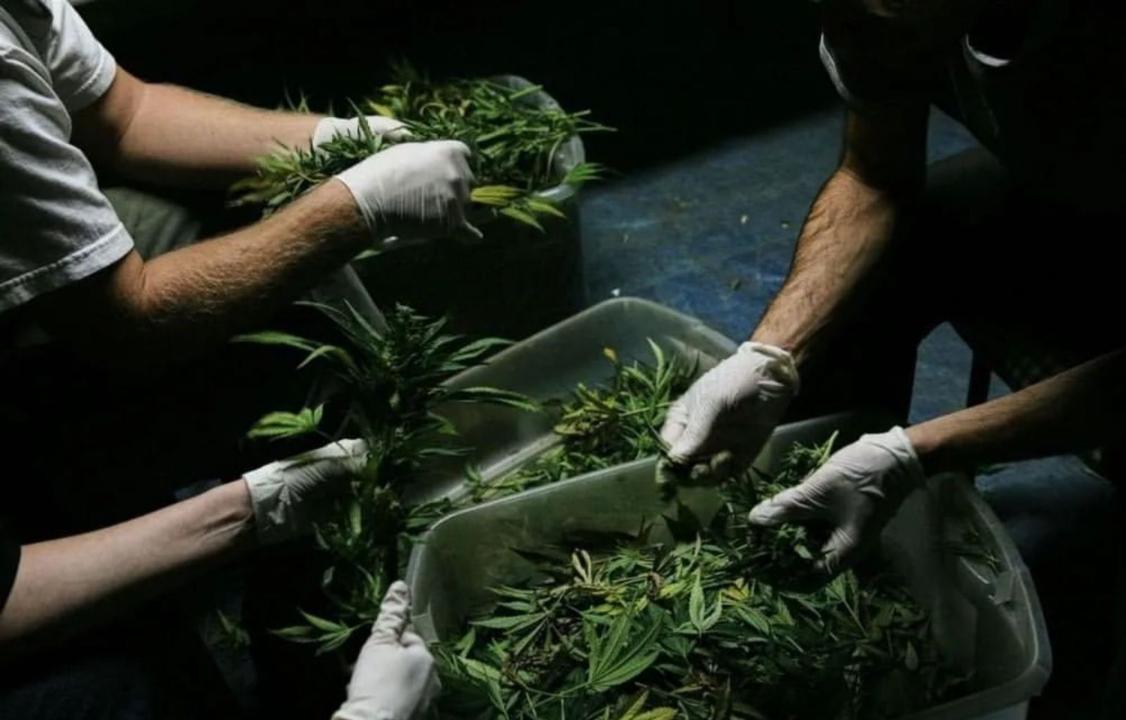 شقو تۇرعىنىنان 4 كەلىدەن استام ەسىرتكى تاركىلەندى