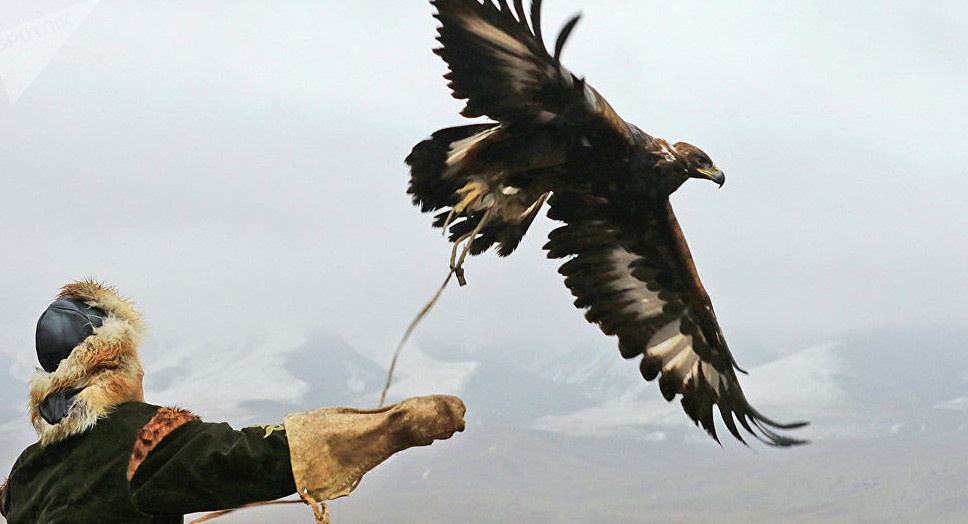 سقو-دا قۇسبەگىلەردىڭ سايىسى ءوتتى