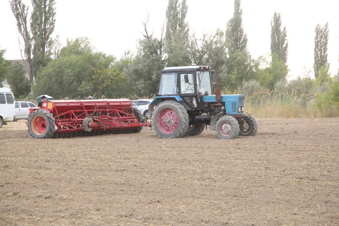 ديقاندار 660 مىڭ گەكتارعا داقىل ورنالاستىرماق