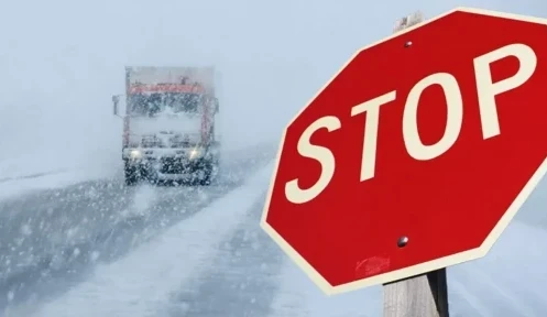 اقمولا وبلىسىندا كولىك قوزعالىسىنا شەكتەۋ قويىلدى