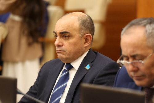 ماجىلىستە جىنىس اۋىستىرۋعا تىيىم سالۋ ۇسىنىلدى