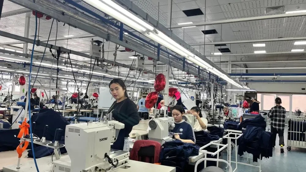 جۇمىسشى ماماندار: سۇرانىسقا قاراي ۇسىنىس