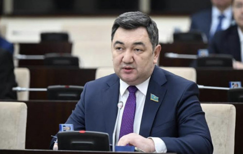 سەناتور ۇكىمەتتەن مۋزىكالىق اسپاپ شەبەرلەرىنە كاسىبي مارتەبە بەرۋدى سۇرادى