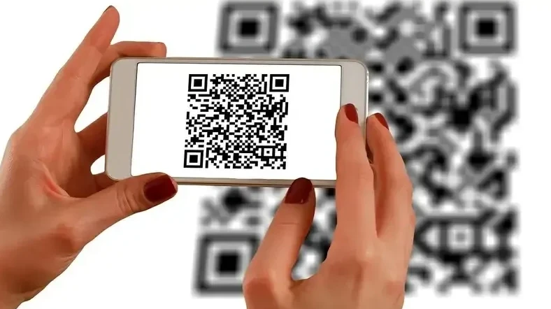 استانادا كونتسەرتتەرگە جالعان بيلەت ساتقان ايەل جازالاندى