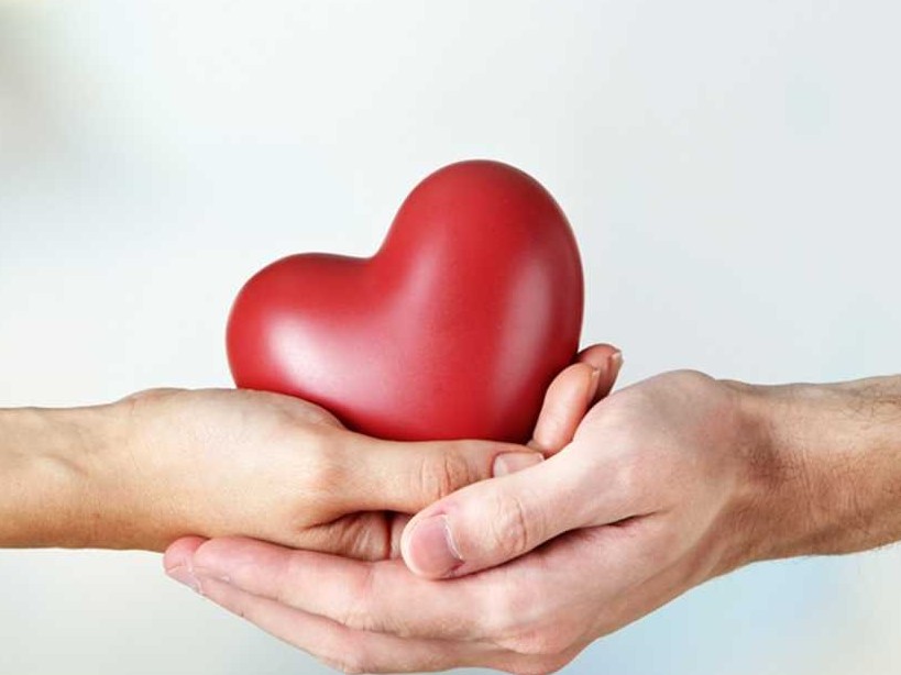 مۇقتاج جاندارعا ەلەۋلى كومەك