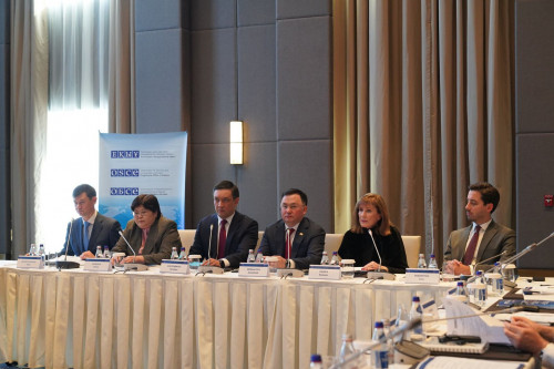 پامەلا حارريس قازاقستاننىڭ سوت جۇيەسىنىڭ ءتيىمدى تۇستارىن اتادى