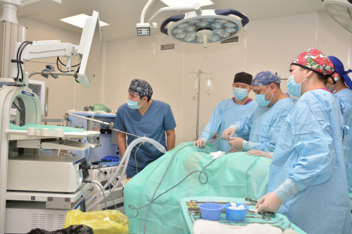 شقو-دا اۋىل مەديتسيناسىن جاڭعىرتۋ جالعاسىپ جاتىر