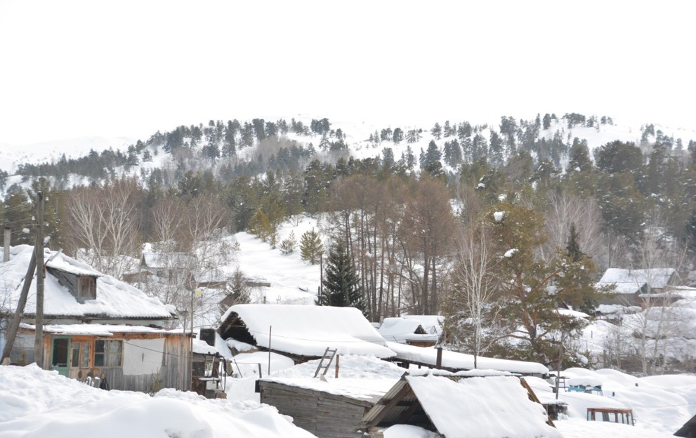 ورمانداعى وتىز ءۇي