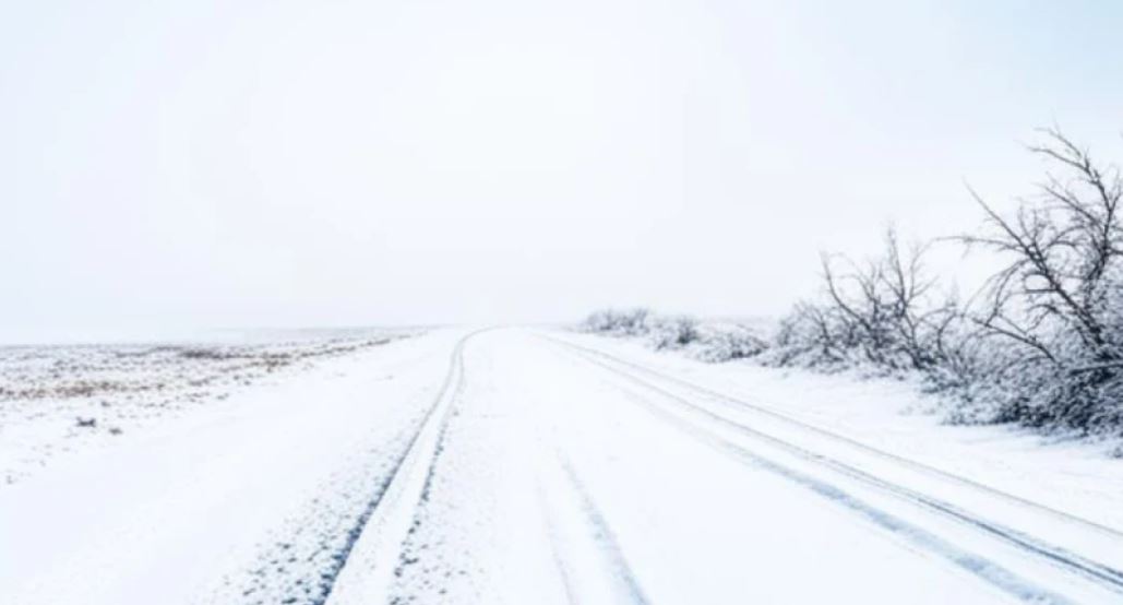 «استانا - قاراعاندى - الماتى» اۆتوجولى جابىلدى