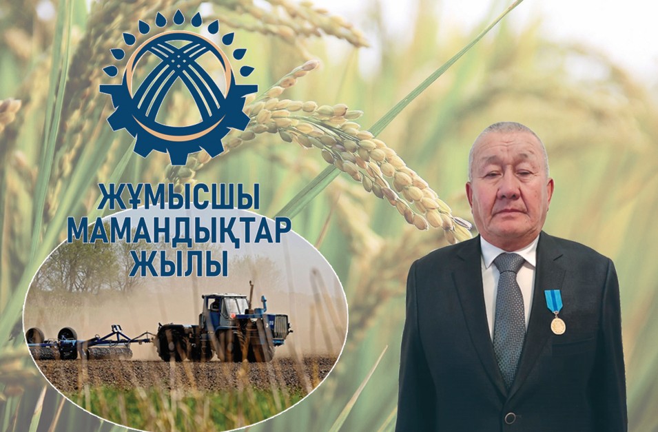 ماڭداي تەردىڭ مارتەبەسى