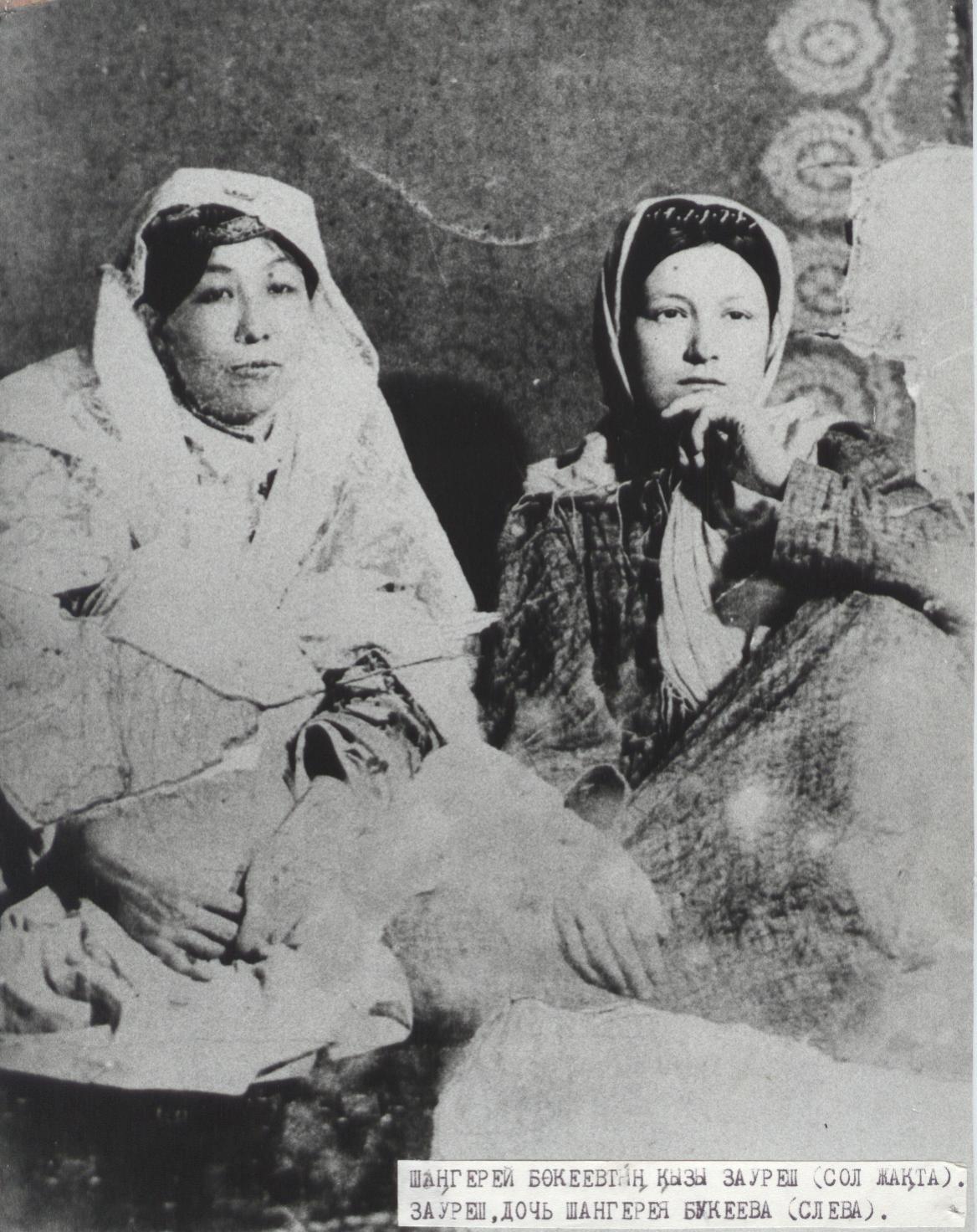 قازاق قىلقالامىنىڭ قارلىعاشى