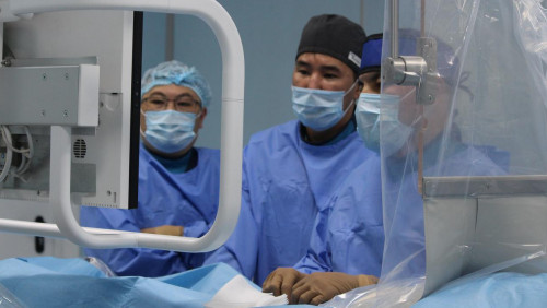 ينسۋلت العانداردىڭ دەنساۋلىعىن تولىق قالپىنا كەلتىرۋگە بولا ما