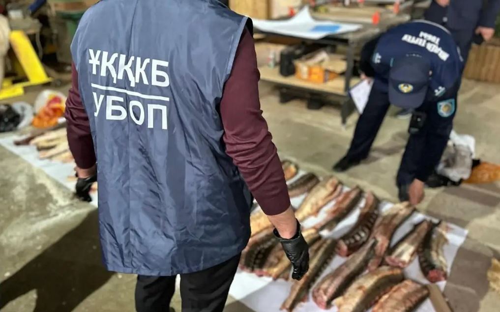 اتىراۋدا بەكىرە ۋىلدىرىعىن تاسىمالداعان كۇدىكتى ۇستالدى