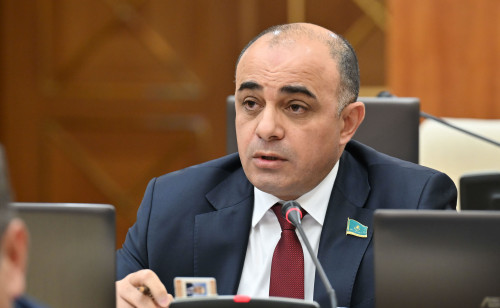 قىلمىس قۇرباندارىنىڭ جەكە دەرەگى قۇپيا ساقتالۋى كەرەك - دەپۋتات