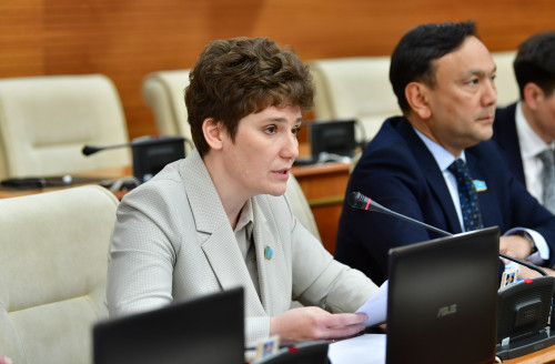 كوپ پاتەرلى ۇيلەرگە قاتىستى زاڭ جوباسى ازىرلەندى