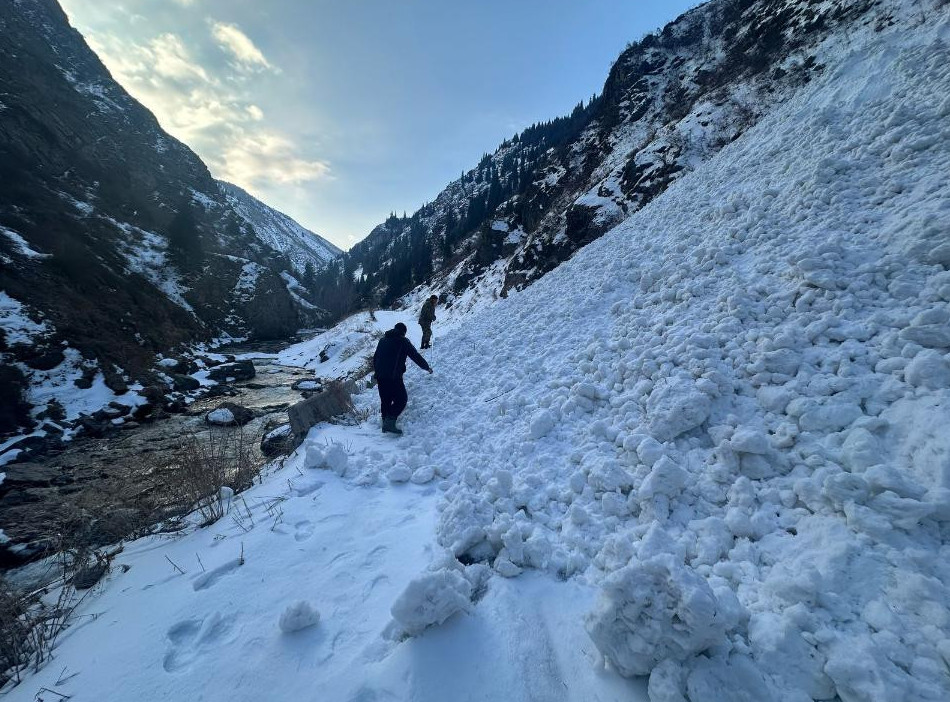 الماتى وبلىسىندا قار كوشكىنى ءجۇردى