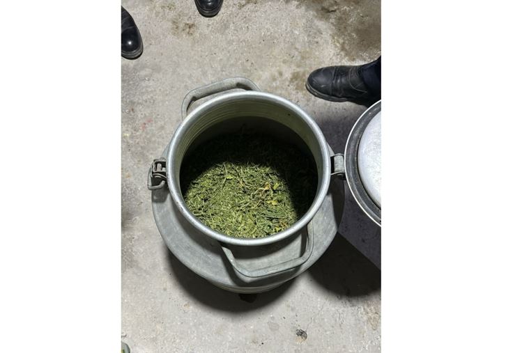 قىزىلوردادا ەكى ايدا 38 ەسىرتكى قىلمىسى تىركەلدى