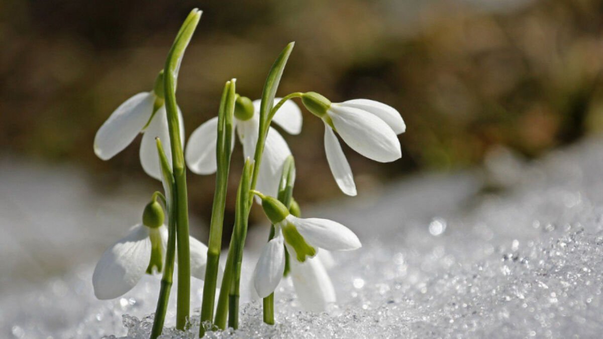 وڭتۇستىكتە كۇن جىليدى, قالعان وڭىرلەردە اۋا رايى قانداي بولادى؟