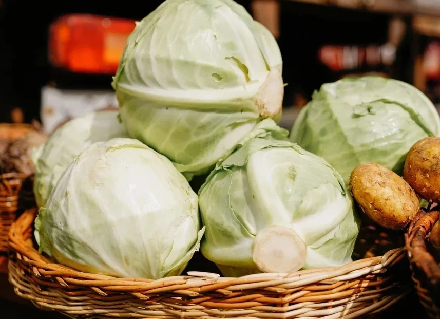 پاۆلوداردا قىرىققابات پەن كارتوپتىڭ باعاسى ءوستى