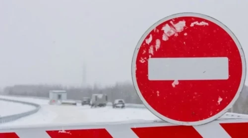 اقمولا وبلىسىندا كولىك قوزعالىسىنا شەكتەۋ قويىلدى