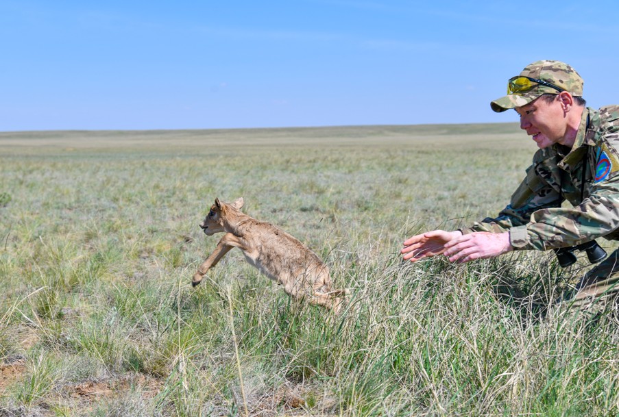 ۇلان-عايىر دالاعا كيىك سىيماي بارادى...