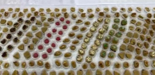 استانالىقتار 15 مەترلىك جەنت جاسادى